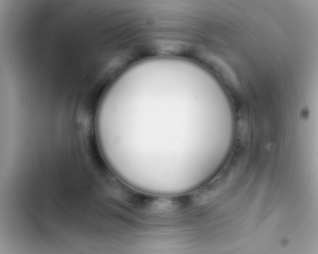 X0000103310123200809191927