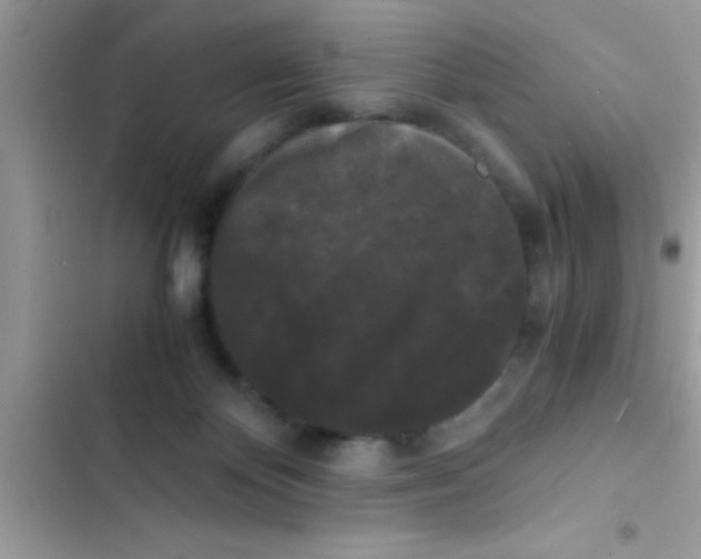 X0000103310124200809191927