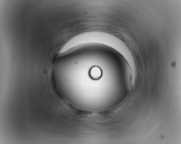 X0000103310125200809191927