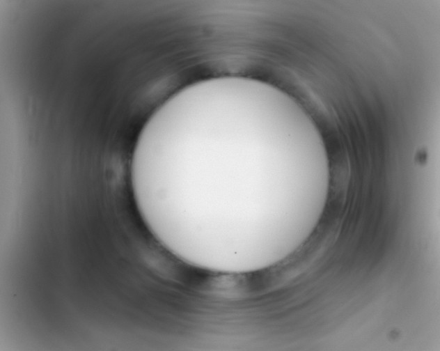 X0000103310126200809191927