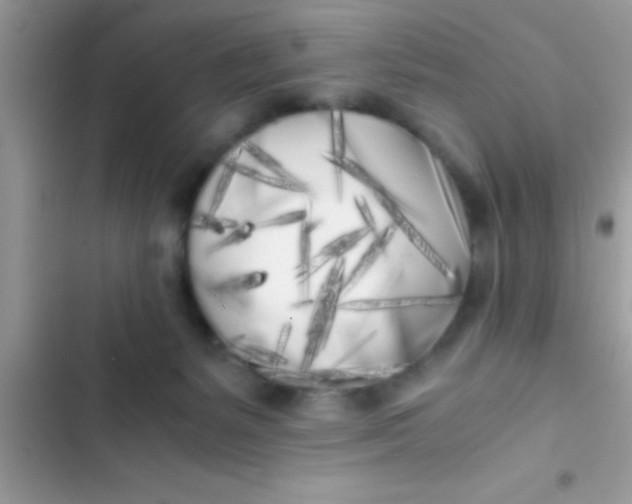 X0000103310127200809191927