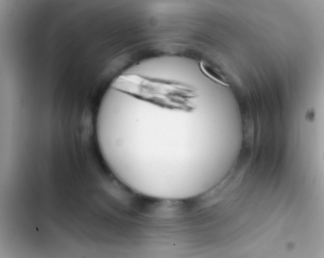 X0000103310128200809191927