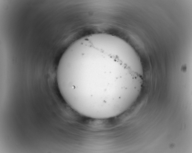 X0000103310129200809191927