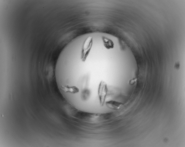 X0000103310130200809191927