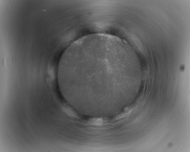 X0000103310131200809191927