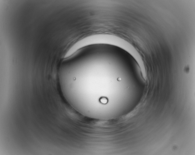 X0000103310132200809191927