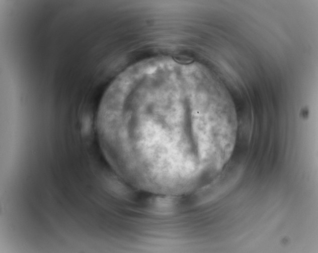 X0000103310134200809191927