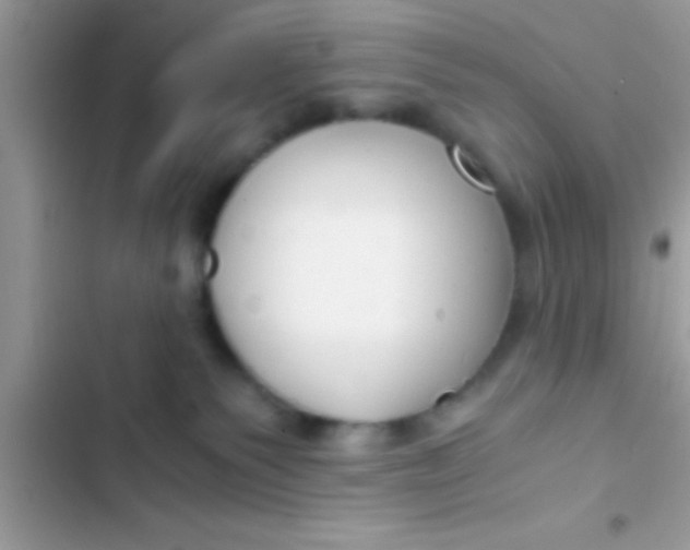 X0000103310135200809191926