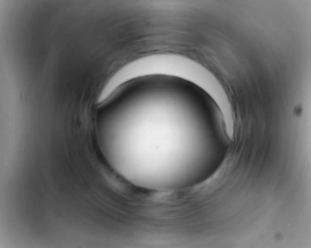 X0000103310136200809191926