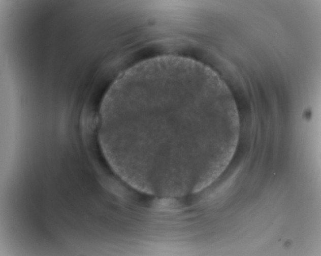 X0000103310137200809191926