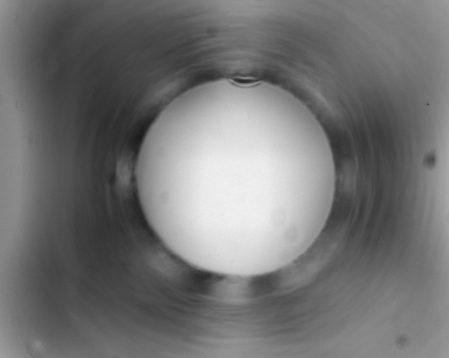 X0000103310138200809191926