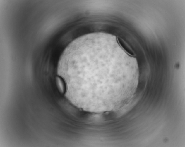 X0000103310140200809191926