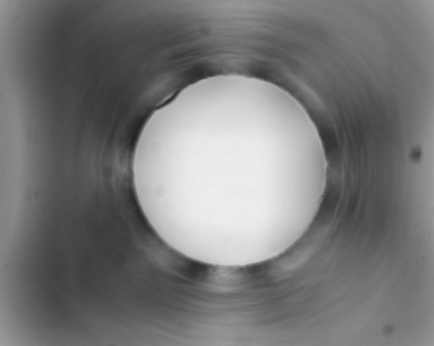 X0000103310141200809191926