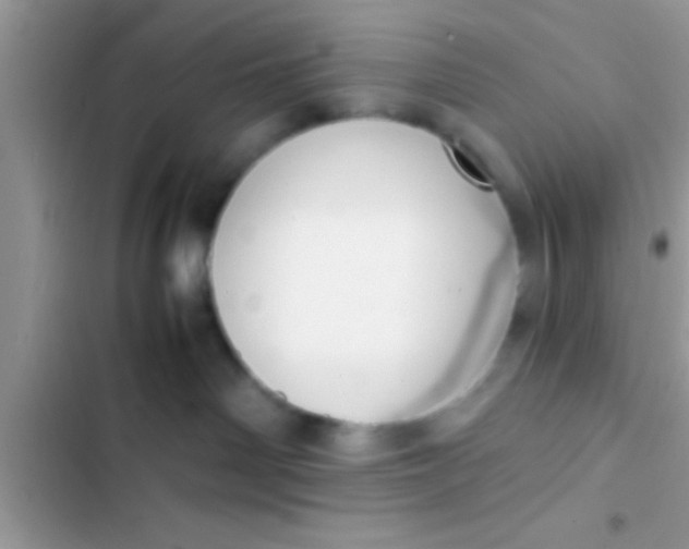 X0000103310142200809191926