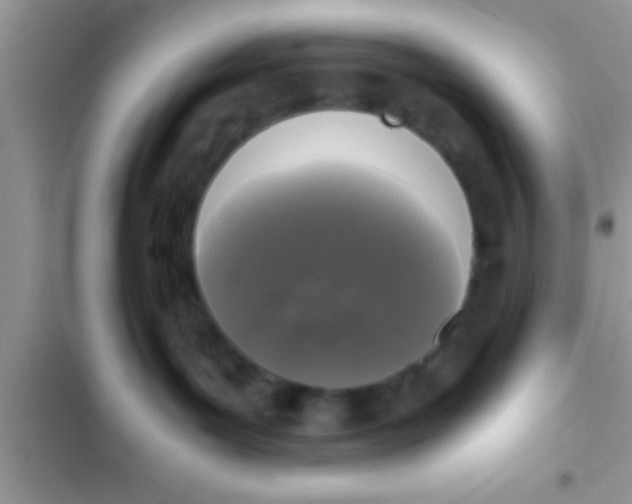 X0000103310143200809191926