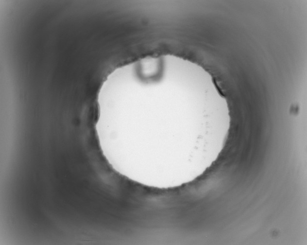 X0000103310144200809191926