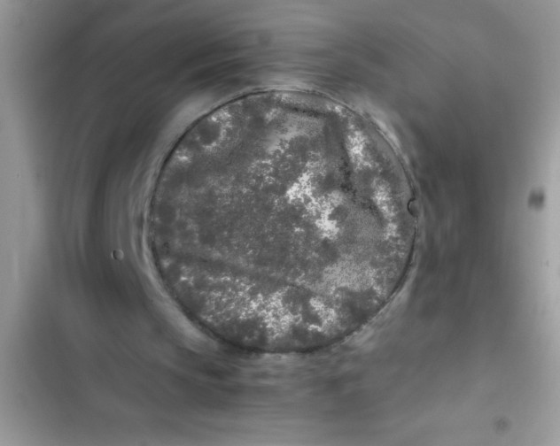 X0000103310145200809191926