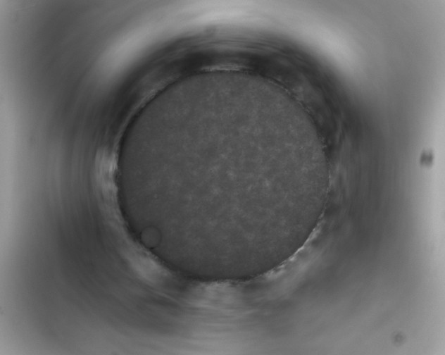 X0000103310146200809191926