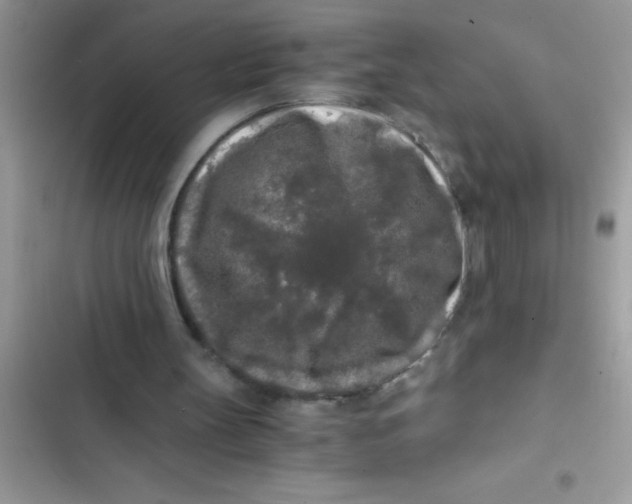 X0000103310147200809191926