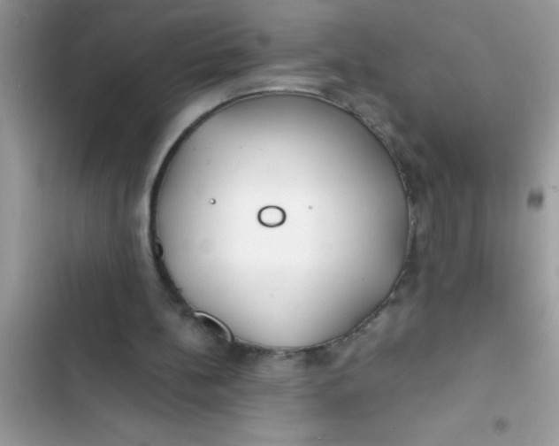 X0000103310148200809191926