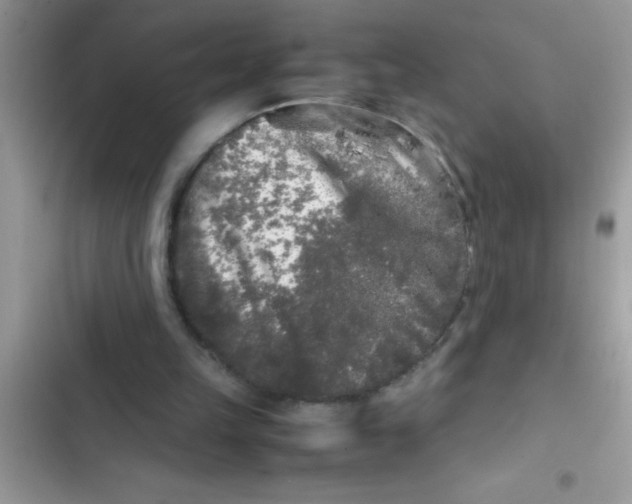 X0000103310149200809191926