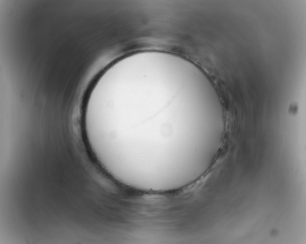 X0000103310150200809191926