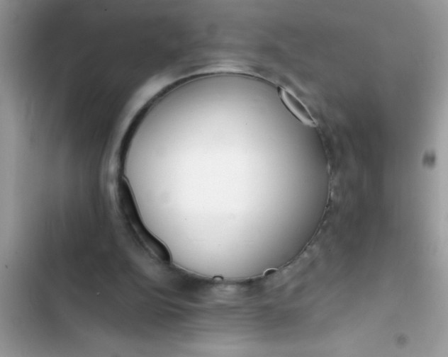 X0000103310152200809191926