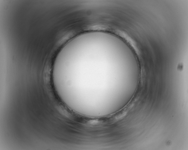 X0000103310153200809191926