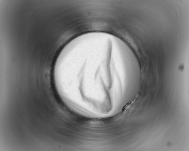 X0000103310154200809191926