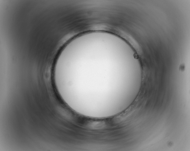 X0000103310155200809191926