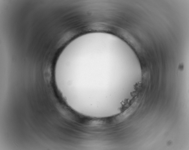 X0000103310158200809191926