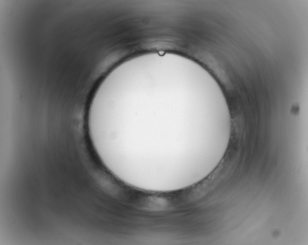 X0000103310159200809191926