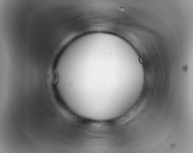 X0000103310160200809191926