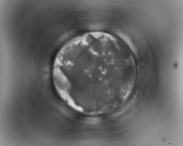 X0000103310161200809191926