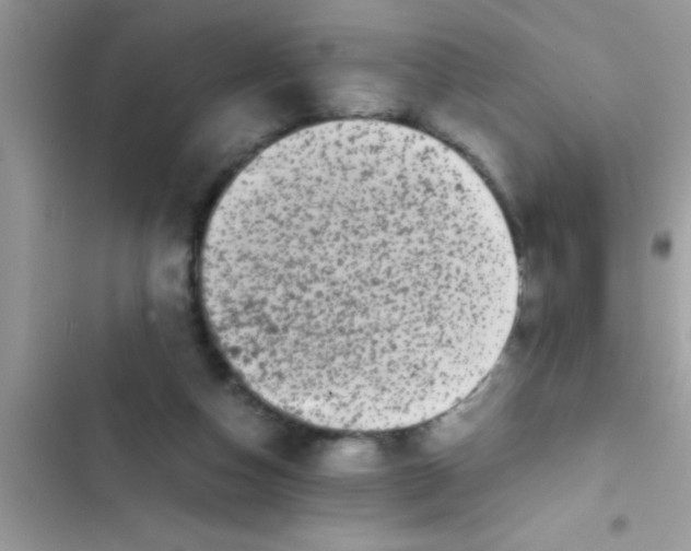 X0000103310162200809191926