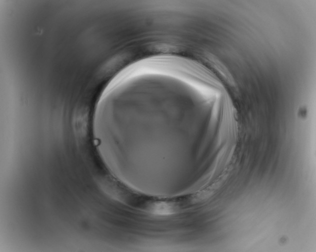 X0000103310163200809191926