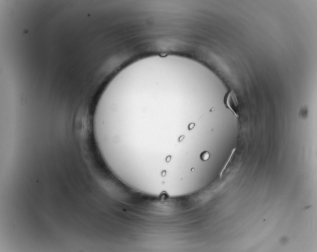 X0000103310164200809191926