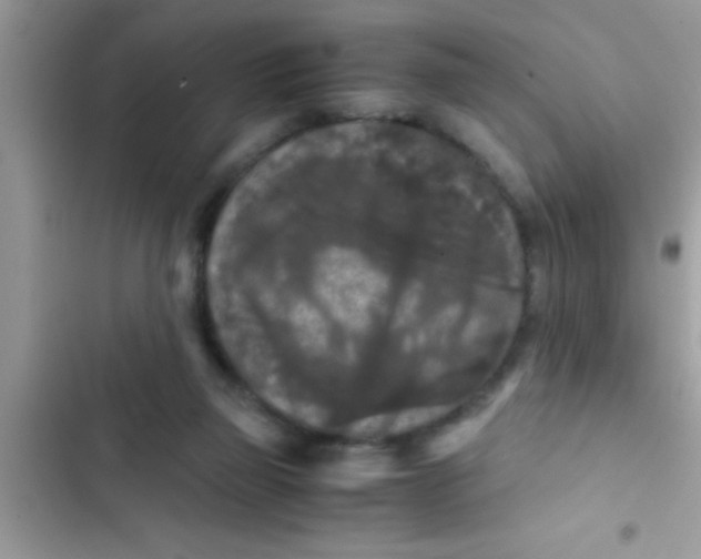 X0000103310165200809191926