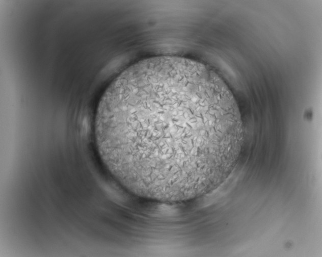 X0000103310166200809191926