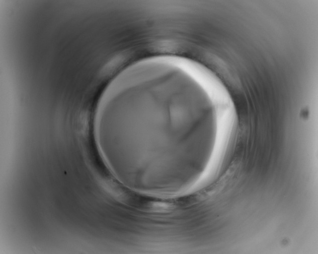 X0000103310167200809191926