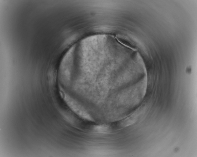 X0000103310168200809191926