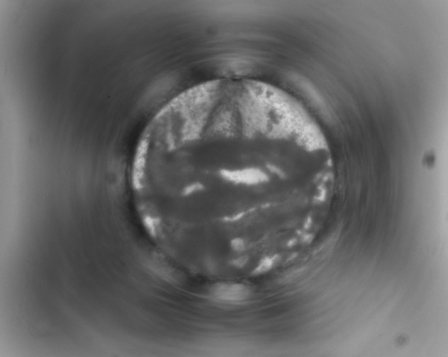 X0000103310169200809191926