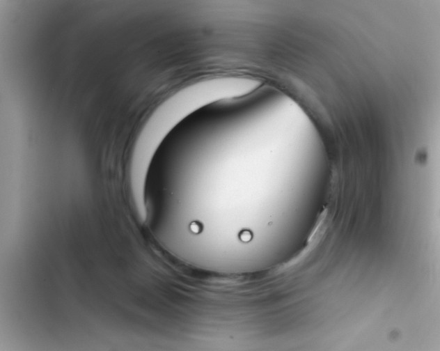 X0000103310170200809191926