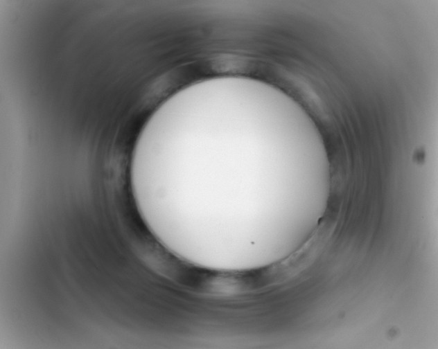 X0000103310171200809191926