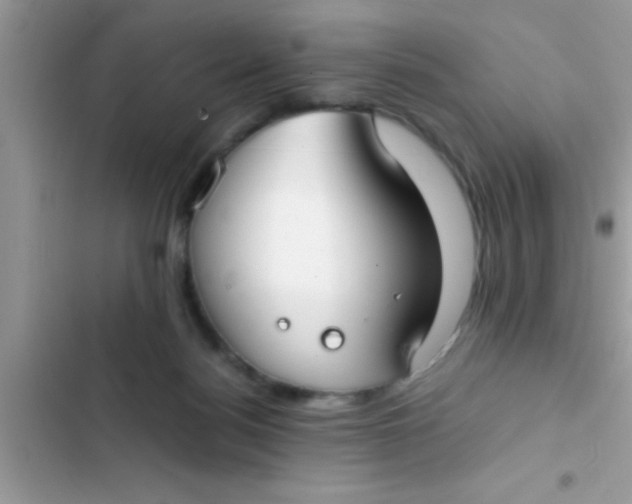 X0000103310172200809191926