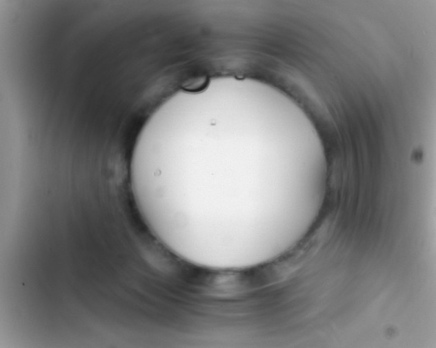 X0000103310173200809191926