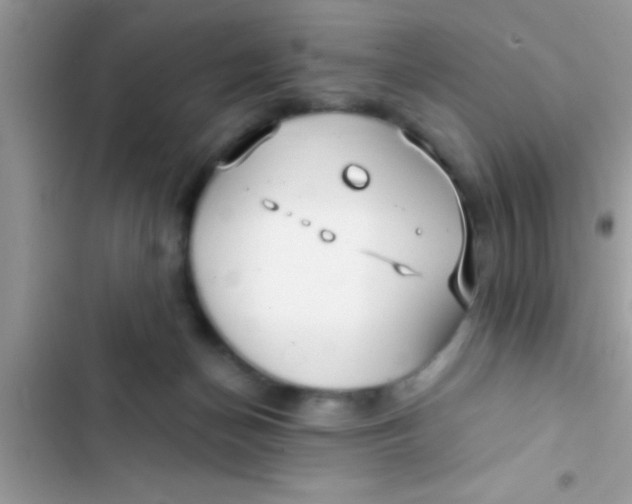 X0000103310174200809191926