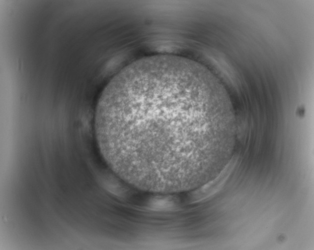 X0000103310175200809191926