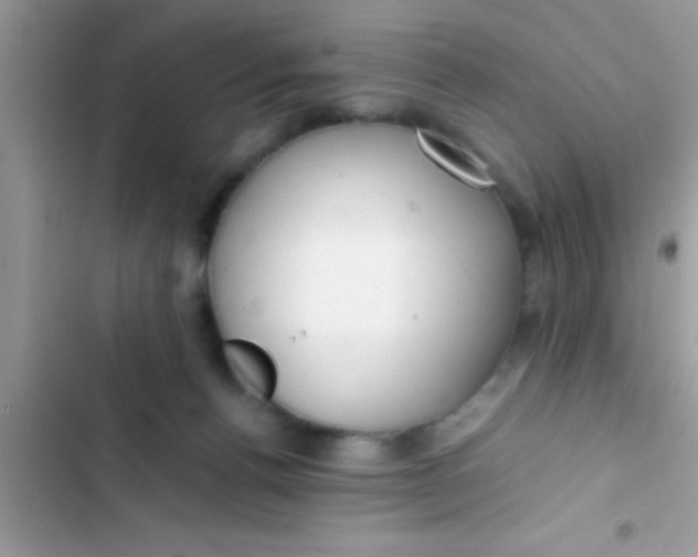 X0000103310176200809191926