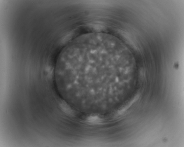 X0000103310177200809191926